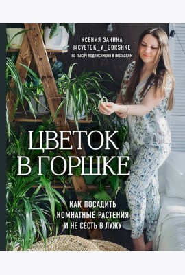 Цветок в горшке. Как посадить комнатные растения и не сесть в лужу