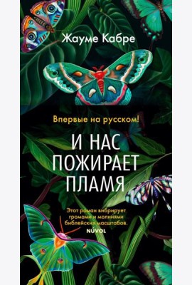 И нас пожирает пламя: роман