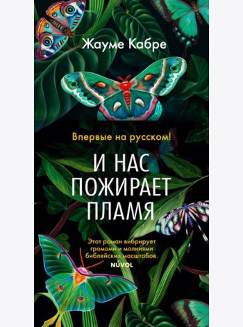 И нас пожирает пламя: роман