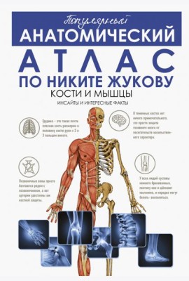 Популярный анатомический атлас по Никите Жукову. Кости и мышцы. Инсайты и интересные факты
