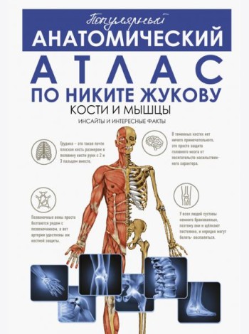 Популярный анатомический атлас по Никите Жукову. Кости и мышцы. Инсайты и интересные факты