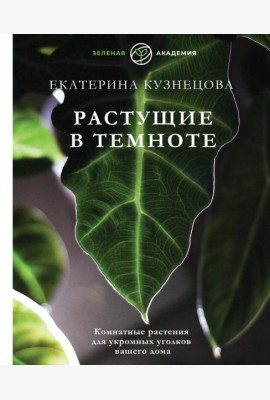 Растущие в темноте. Комнатные растения для укромных уголков вашего дома