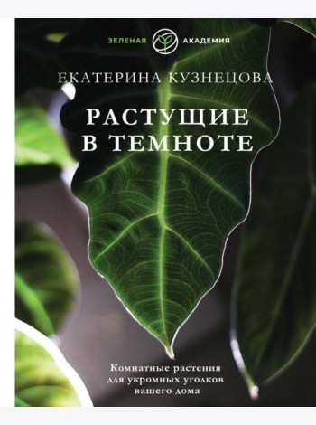 Растущие в темноте. Комнатные растения для укромных уголков вашего дома