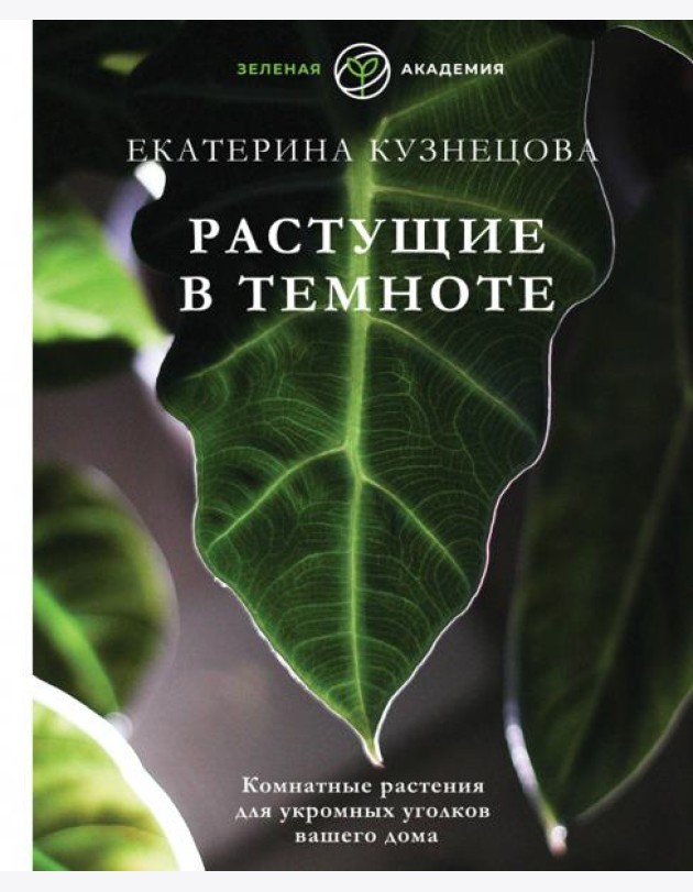 Растущие в темноте. Комнатные растения для укромных уголков вашего дома