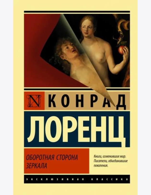 Оборотная сторона зеркала
