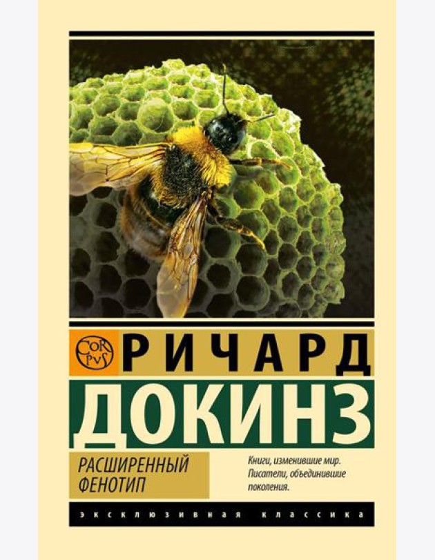 Расширенный фенотип: длинная рука гена