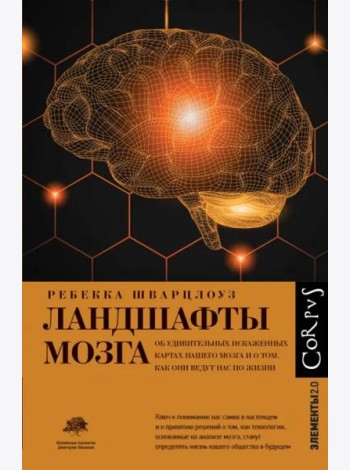 Ландшафты мозга
