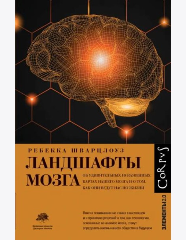 Ландшафты мозга