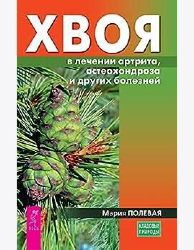 Хвоя в лечении артрита, остеохондроза и других болезней