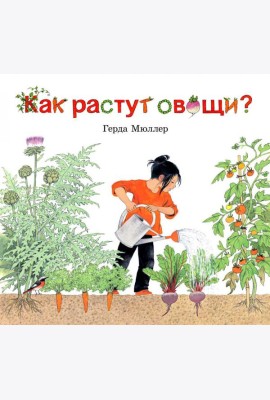 Как растут овощи?