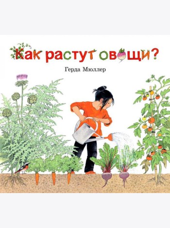 Как растут овощи?