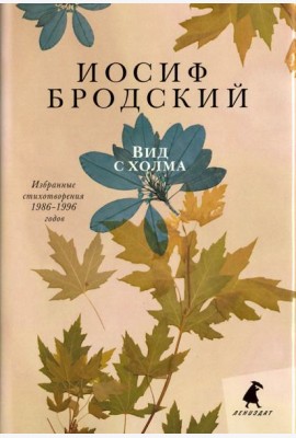 Вид с холма