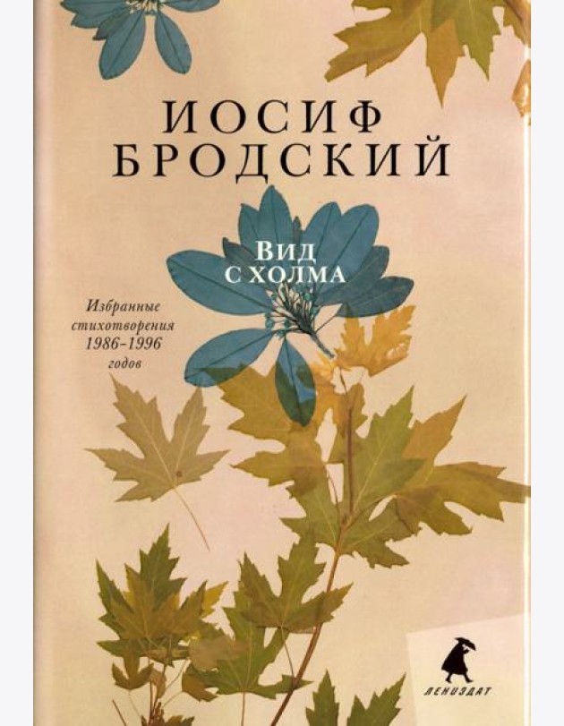 Вид с холма