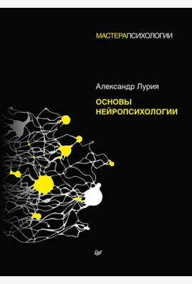 Основы нейропсихологии