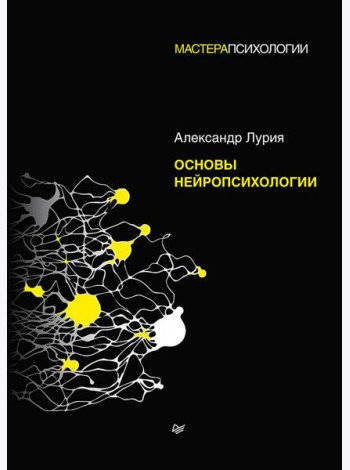 Основы нейропсихологии