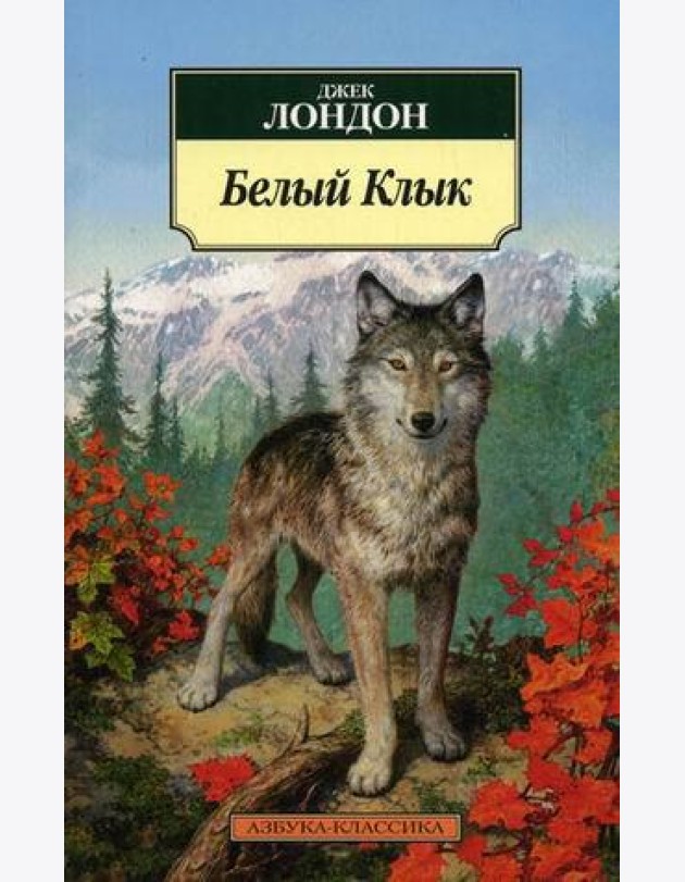 Белый Клык