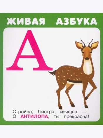 Набор карточек 