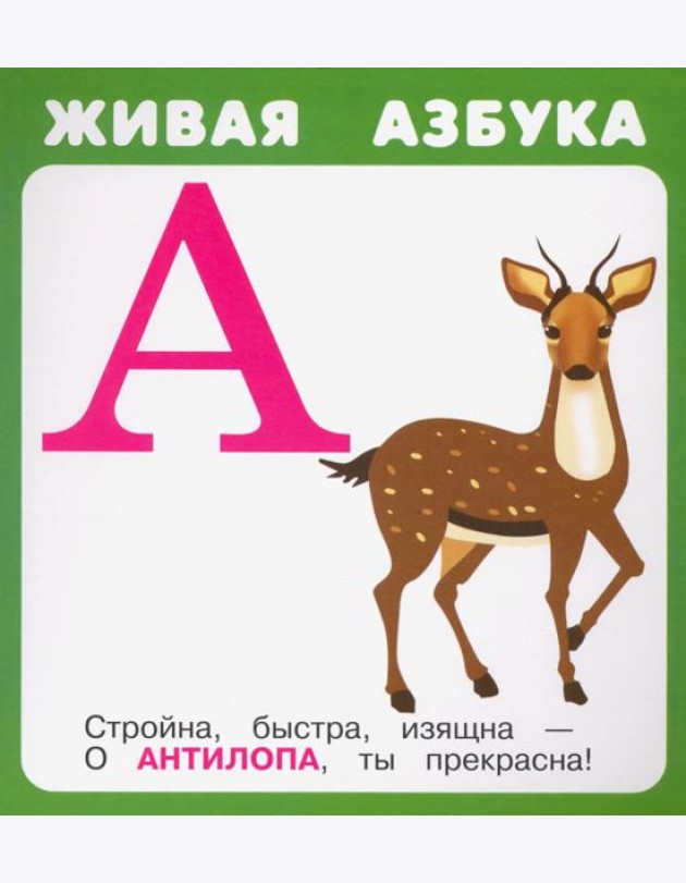 Набор карточек 