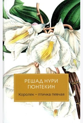 Королек - птичка певчая