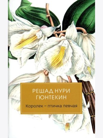Королек - птичка певчая