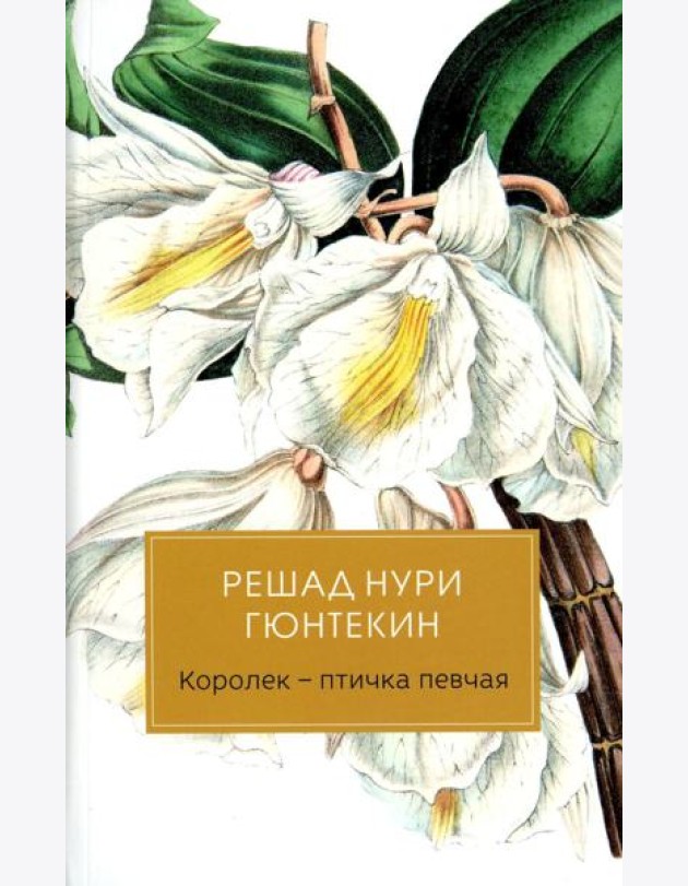 Королек - птичка певчая