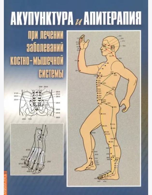 Акупунктура и апитерапия при лечении заболеваний костно-мышечной системы. Практическое руководство