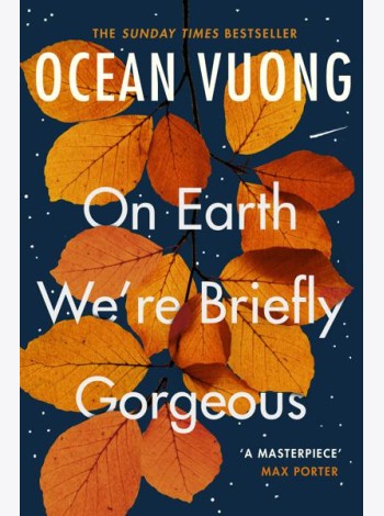 On Earth We're Briefly Gorgeous
