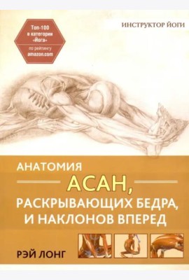 Анатомия асан, раскрывающих бедра, и наклонов вперед