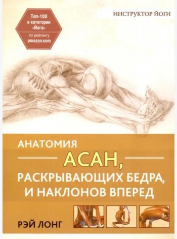 Анатомия асан, раскрывающих бедра, и наклонов вперед