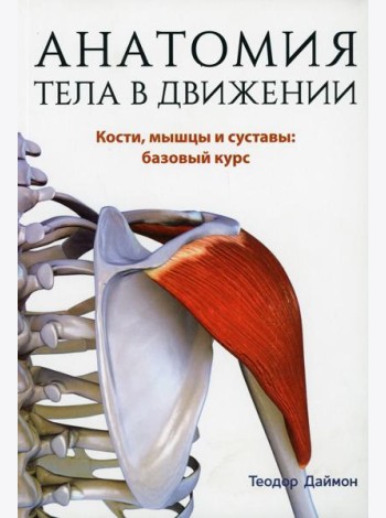 Анатомия тела в движении