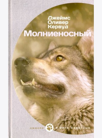 Молниеносный