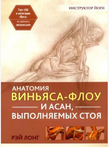 Анатомия виньяса-флоу и асан, выполняемых стоя