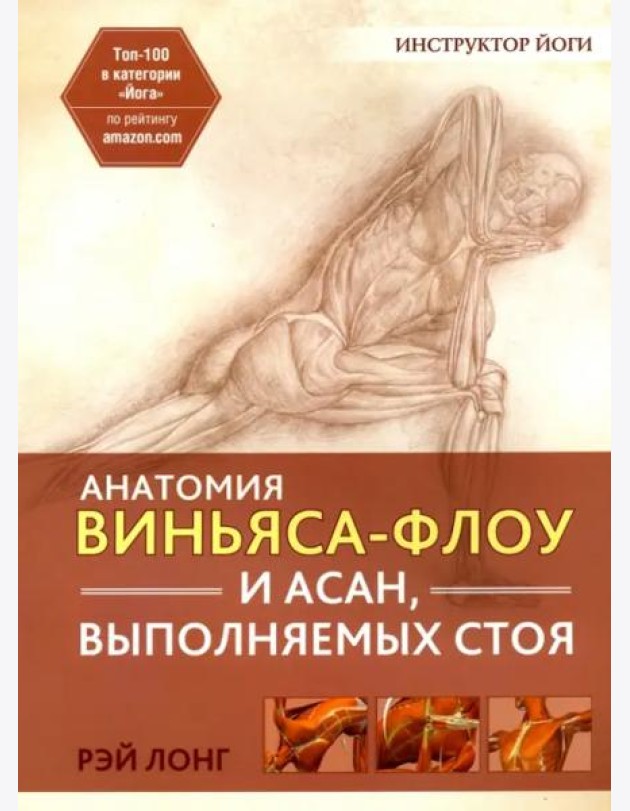 Анатомия виньяса-флоу и асан, выполняемых стоя
