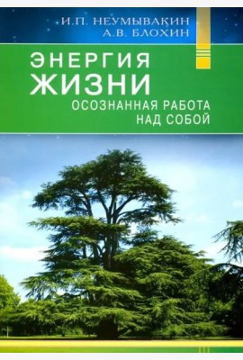 Энергия жизни. Осознаная работа над собой