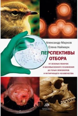 Перспективы отбора. От зеленых пеночек и бессмысленного усложнения до голых землекопов