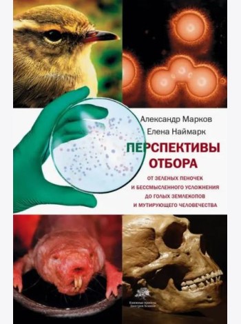 Перспективы отбора. От зеленых пеночек и бессмысленного усложнения до голых землекопов