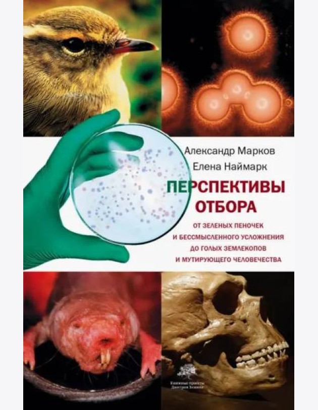 Перспективы отбора. От зеленых пеночек и бессмысленного усложнения до голых землекопов