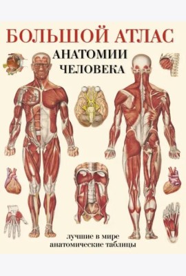Большой атлас анатомии человека. Лучшие в мире анатомические таблицы