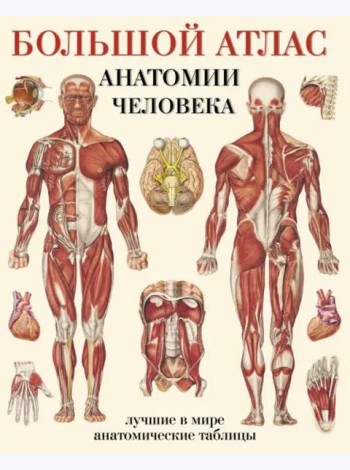 Большой атлас анатомии человека. Лучшие в мире анатомические таблицы