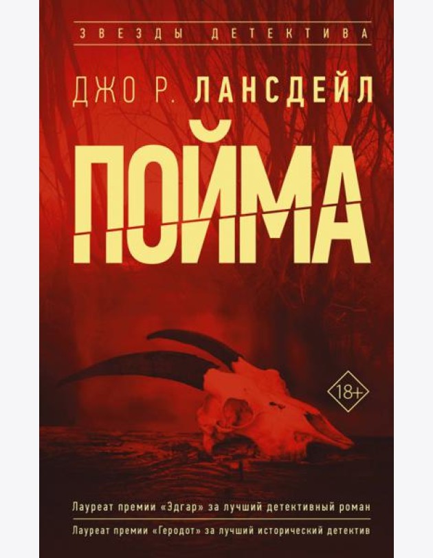 Пойма