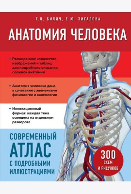 Анатомия человека. Современный атлас с подробными иллюстрациями