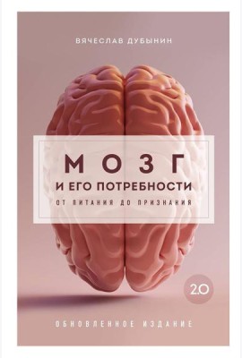 Мозг и его потребности 2.0. От питания до признания