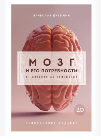 Мозг и его потребности 2.0. От питания до признания