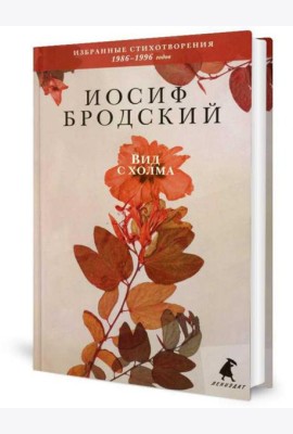 Вид с холма: стихотворения