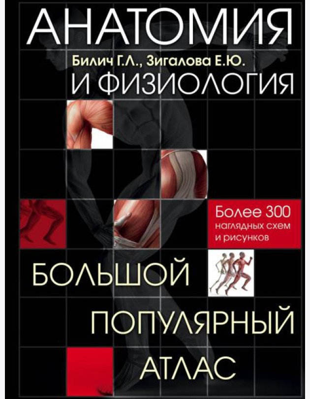 Анатомия и физиология. Большой популярный атлас