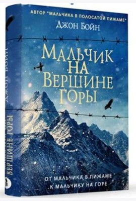 Мальчик на вершине горы: роман