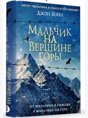Мальчик на вершине горы: роман