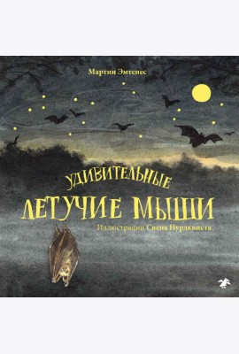 Удивительные летучие мыши