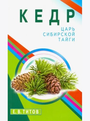 Кедр - царь сибирской тайги
