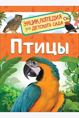Птицы